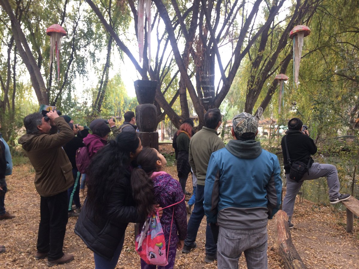 Guiado de observación de aves en Mundo Granja, Universidad de Chile 

#diadelpatrimoniocultural 2019

#planificable #educacion #ventralis <a href="/Monumentos_cl/">Consejo de Monumentos Nacionales de Chile</a> <a href="/uchile/">Universidad de Chile</a>