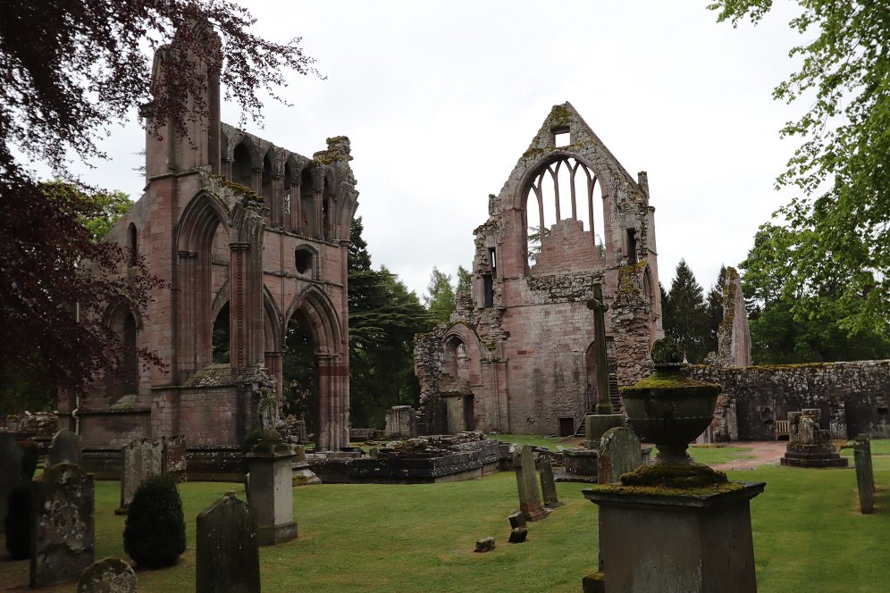 colliefullife's tweet photo. Dryburgh Abbey. Just WOW!  The abbey is surrounded by huge mature trees with labels saying what there are and a tree trail to follow as well as exploring the ruins. And a fantastic welcome from the staff too!

@welovehistory #dogsoftwitter #bordercolliefc #HistoryDogs https://t.co/715KFOjZdM