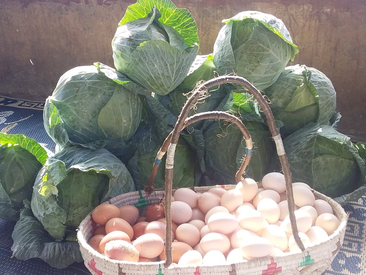 TacMaz's tweet photo. We are still selling
@ThokoChimasula https://t.co/TfgqWSHrMy