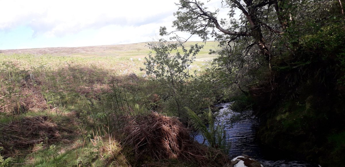 Above @Boolakennedy in the Galtees.