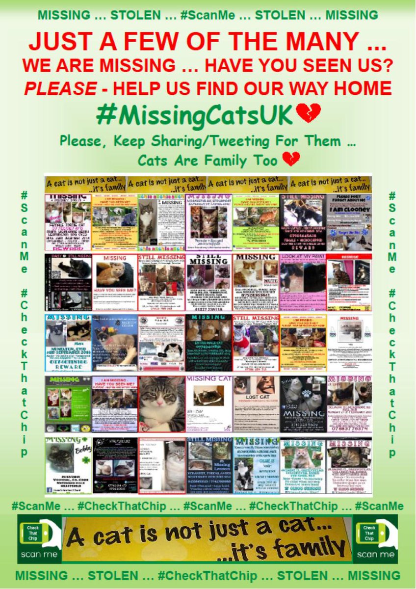 CatsMissing's tweet photo. Just a few of the accounts set up to find long term #LostCats😿
#HelpFindSaffron @HelpFindSaffron
#Help2FindApollo @HelpFindApollo
#LetsFindPepper @LetsFindPepper
#Poppy @findpoppythecat
#WheresMyAnnie @WheresMyAnnie
🙏Give a Follow & RT🙏
🙏#ScanMe🙏
💔#MissingNeverHeals💔 https://t.co/FhDpFWH62K