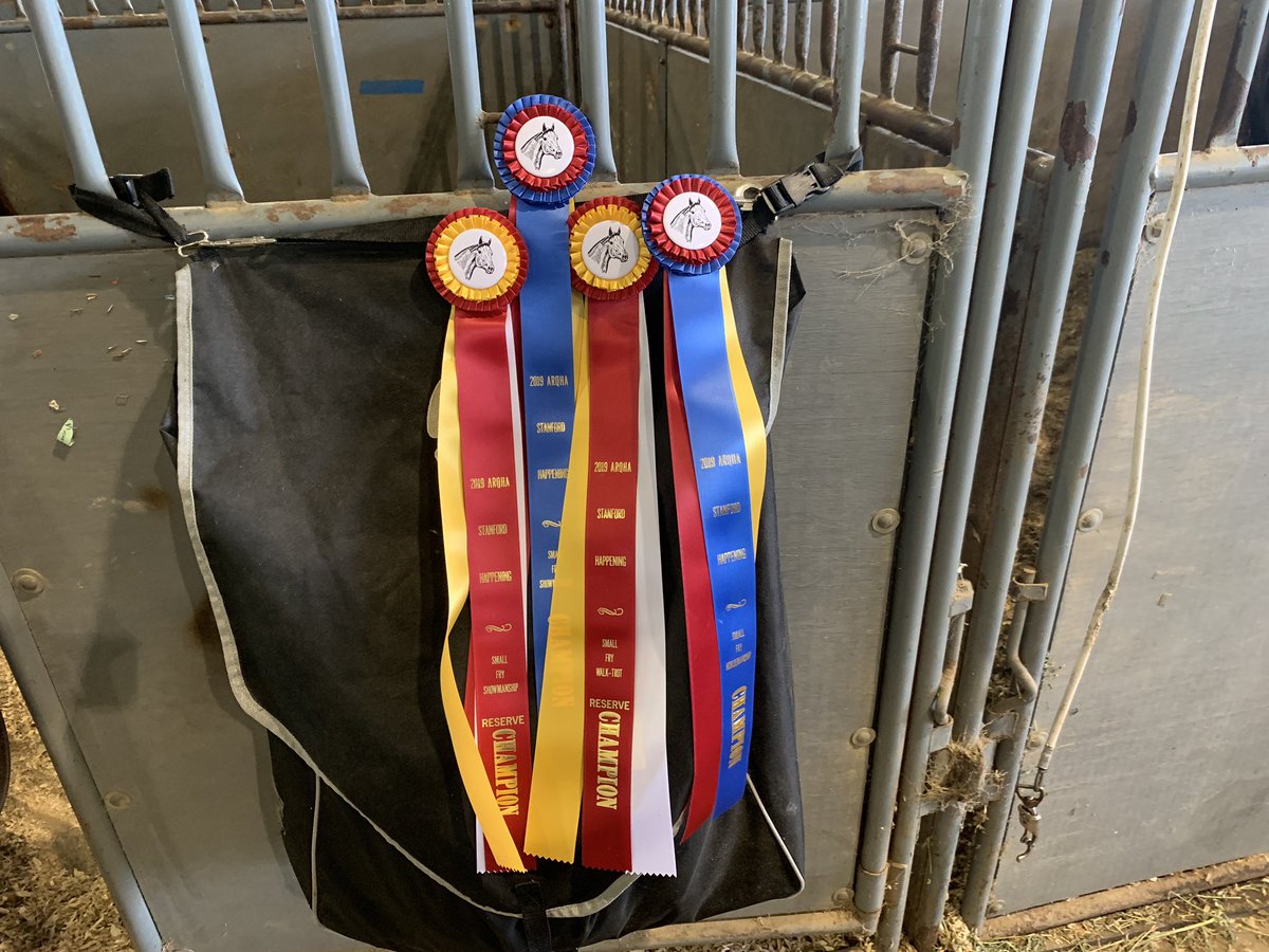 JeremyAffeldt's tweet photo. cheering on #teammassey at horse show! It worked as it was a epic day for Mike Massey and the team yesterday! #boom! #champions #freetodream #freetocompete #freetowin #enjoythejourney #vikings @officialaqha https://t.co/EeJVE7amrV