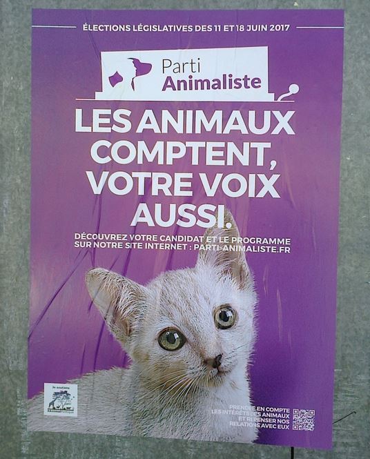 François Asselineau à 1.1 % est largement devancé par le Parti animaliste à 2,4%, ça c'est fait. Le Frexit battu par un chat...  @pierrejovanovic 
#Europeennees2019