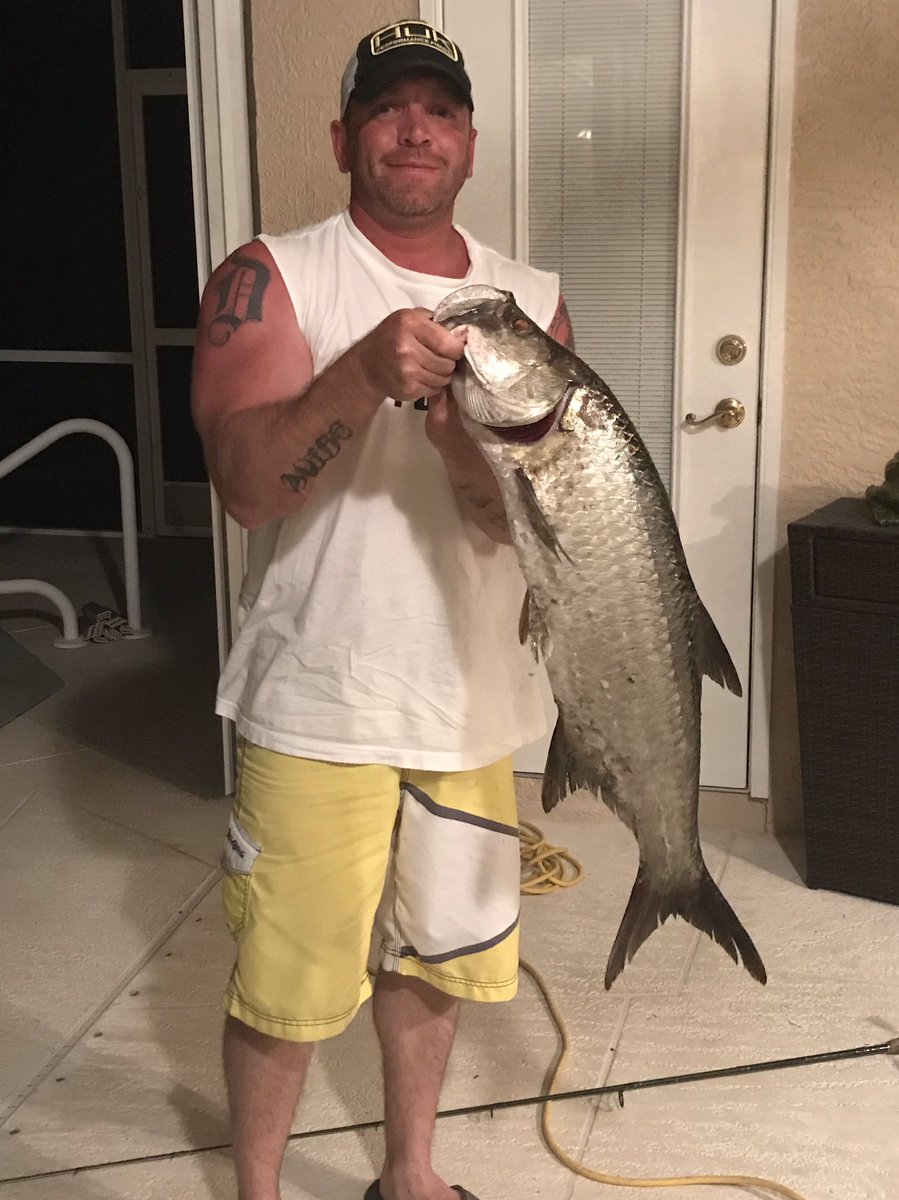 Dean haughey tweet media