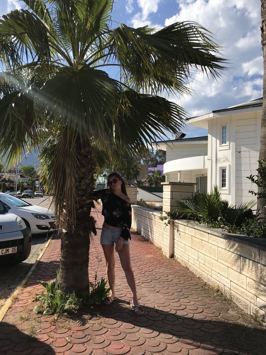Rozalli_'s tweet photo. Хочу жить с пальмами 🏝❤️ I want to live with palm trees 🏝❤️ https://t.co/IocdmByD30