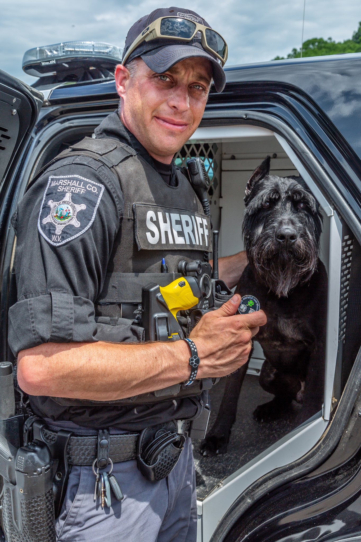Schnauzer police cheap dog