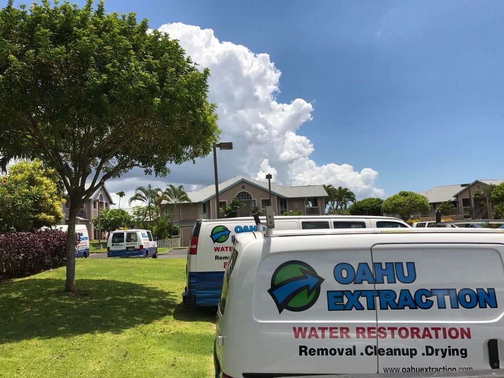 24/7 emergency response team! Flooding, mold, water damage repair!
.
.
.
.
#oahuextraction #oahuflood #waterdamagerepair #watermitigation #mold