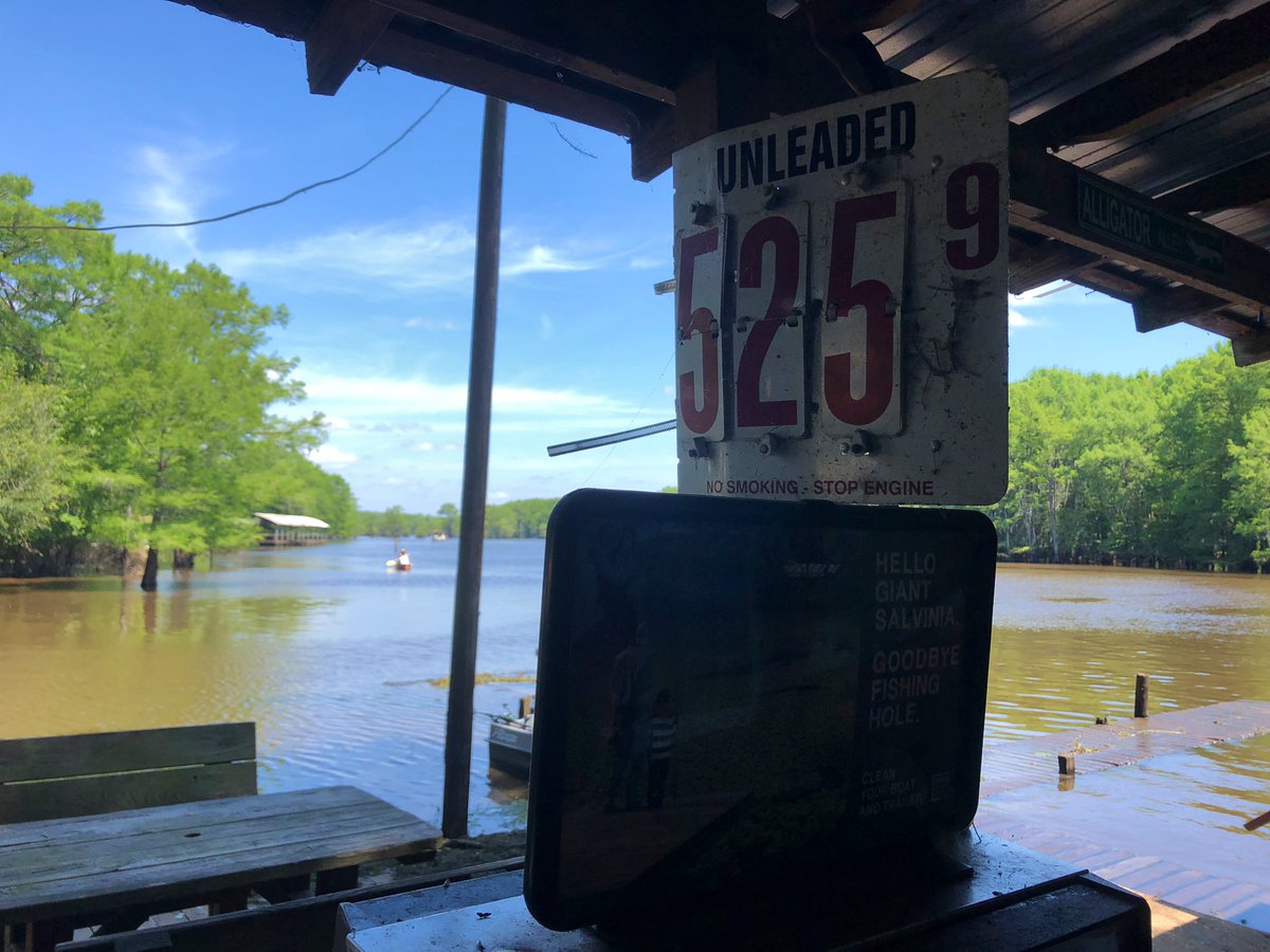 SergioChapa's tweet photo. 👀 $5.25 per gallon! Gasoline is little bit more expensive out on the water at Caddo Lake @gasbuddy @gasbuddyguy #CaddoLake #UncertainTX https://t.co/jsvygjGl3E