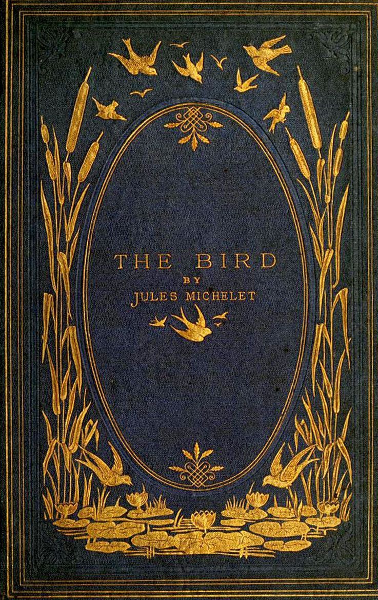 book covers ♡