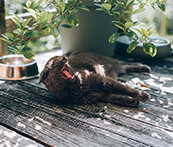 FlakaD25's tweet photo. I've just completed the puzzle with 20 pieces without rotation in PuzzlePlus app https://t.co/8BxwpK7TtT #PuzzlePlus https://t.co/WkWktrDz5R