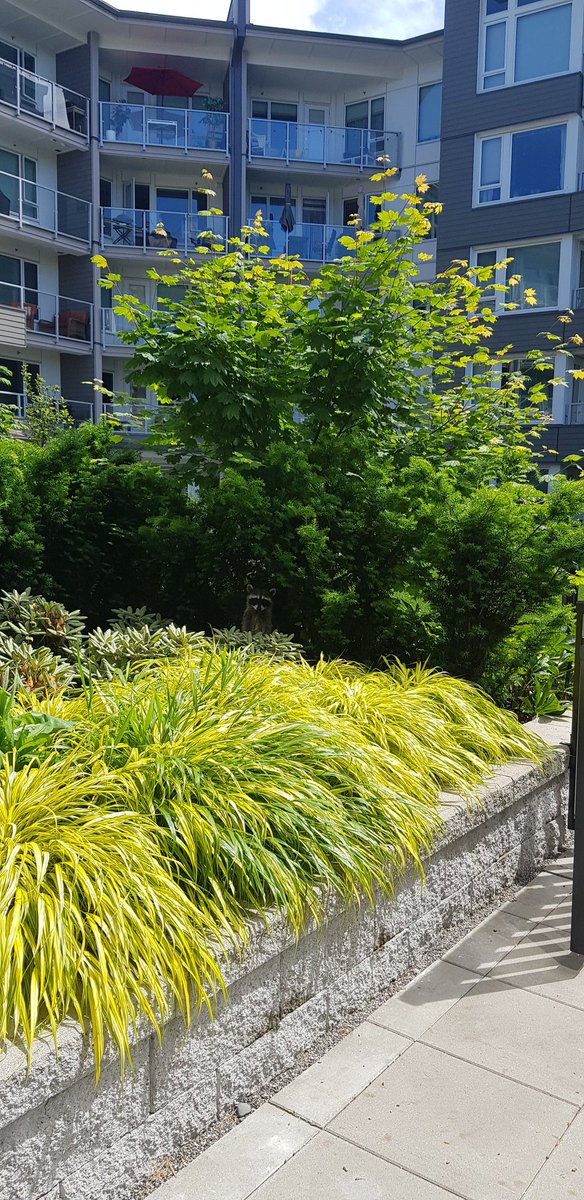 나 1층에 사는데 발코니에서 멍 때리던 중 화단에서 뭐가 슥 고개를 들어서 기절할뻔.