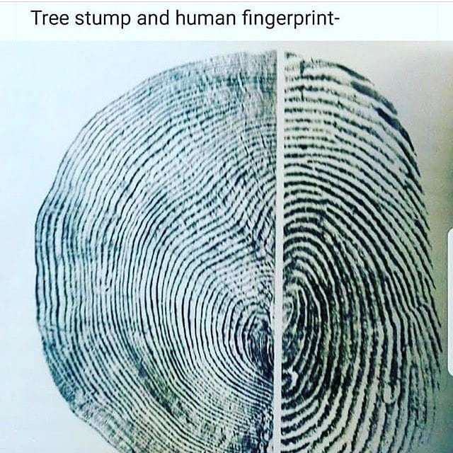 PurpBuddha's tweet photo. The universe is all connected 💯 https://t.co/sFaGzjLkSf https://t.co/sEQKfkcCFN