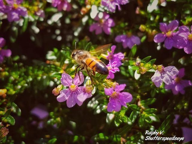 ShutterSpeedEye's tweet photo. RT https://t.co/1IS6ztsnr3 #Miami #Outdoors #Nature #RalphyV #RalphyVPhotography #ShutterSpeedsEye #PhotographyLife #LifeBehindTheLens #IgersMiami #StreetPhotography #Street #Igers #Igers_fl #IgersMiami #ShootMiami #PhotographyisArt #photography #florid… https://t.co/rtxfF509Rd