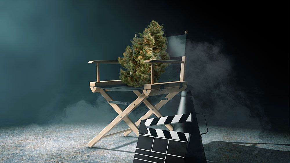 ThinkTankExile's tweet photo. 6 Cannabis Documentaries Worth Watching: 

1. Weed the People (2018)
2. The Union: The Business Behind Getting High (2007)
3. The Culture High (2014)
4. 420: The Documentary (2013)
5. The Legend of 420 (2017)
6. American Drug War 2: Cannabis Destiny (2013)
https://t.co/cleNsY4olU https://t.co/9TxhKeqDhY