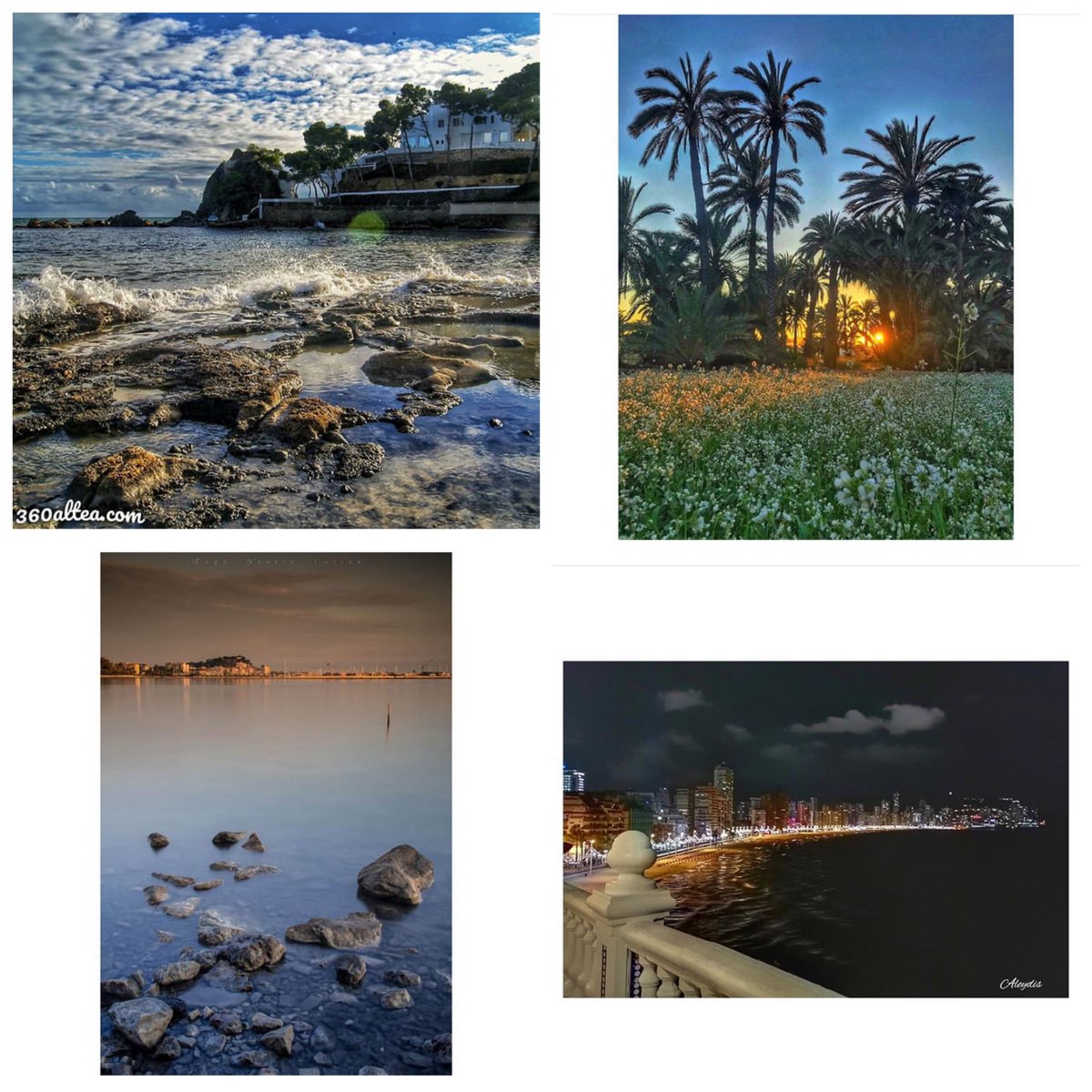 Igers_alicante's tweet photo. 📌 Este es #elgriddeldomingo con 4 fotos destacadas en el apartado DESDE/ FROM IGERSALICANTE. .
.📌 
↖️ @360altea, Cap Negret
↗️ @hibernian, Elche
↙️ @ppsastre, Denia
↘️ @aleydisgg, Benidorm

Para ser elegidos ➡️ #igersalicante
¡Enhorabuena y Feliz semana! https://t.co/coPgvfkCdf
