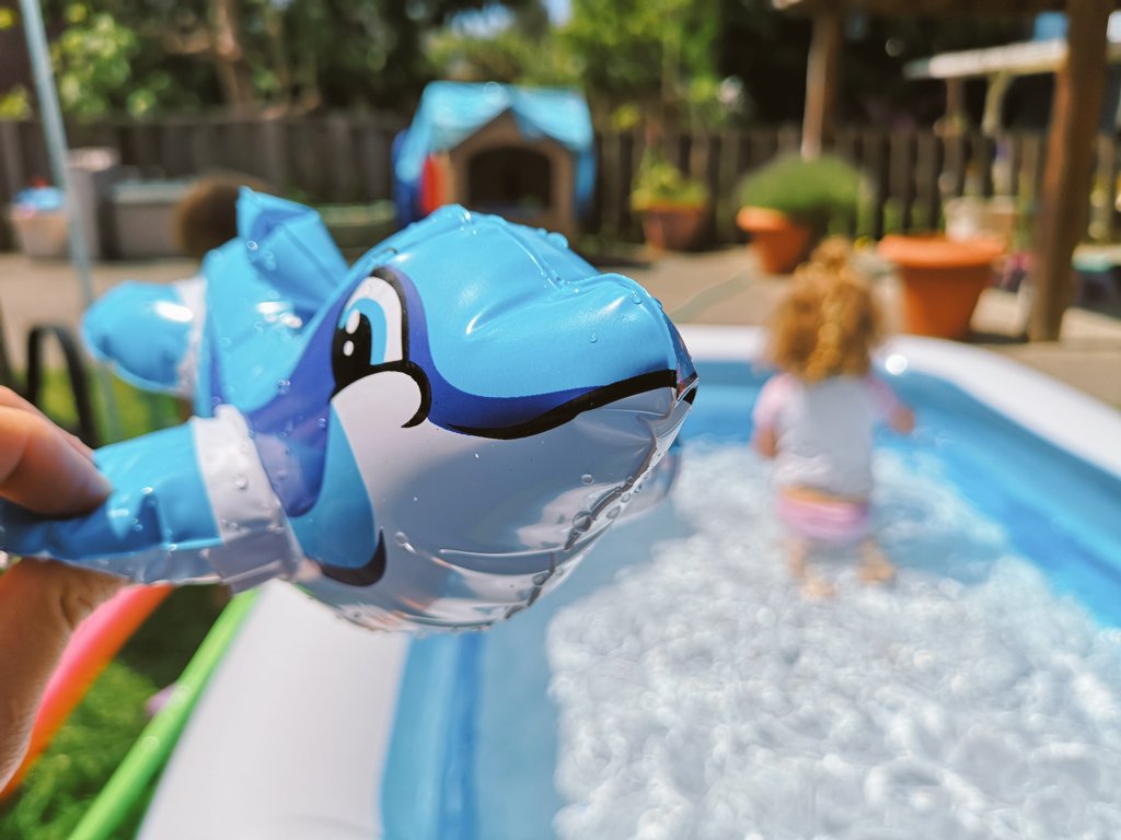 dolphin paddling pool