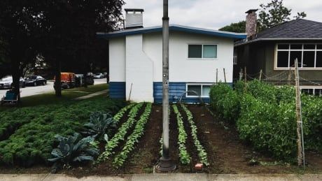 CBC British Columbia tweet media