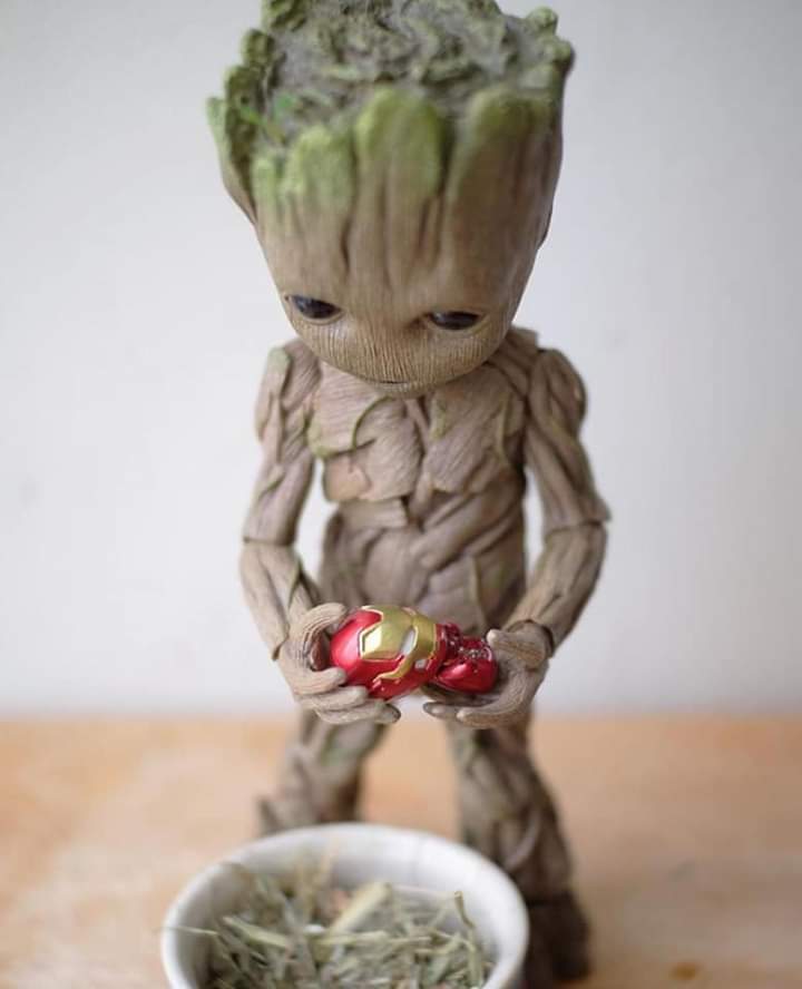 skarsfeyson's tweet photo. o baby groot plantando um novo tony aaaaaaaaa https://t.co/cYvBIiwUIA