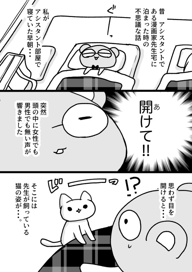 『猫と会話した日の話。』

 #猫 #エッセイ 