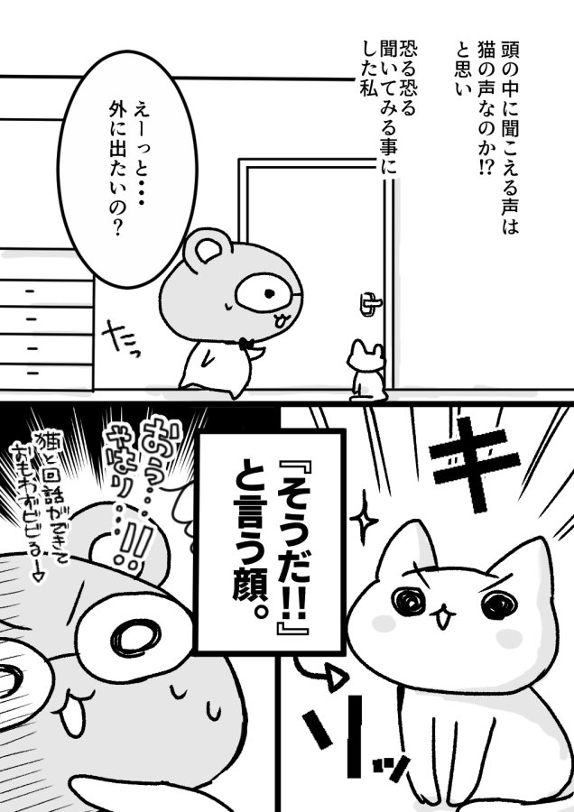 『猫と会話した日の話。』

 #猫 #エッセイ 