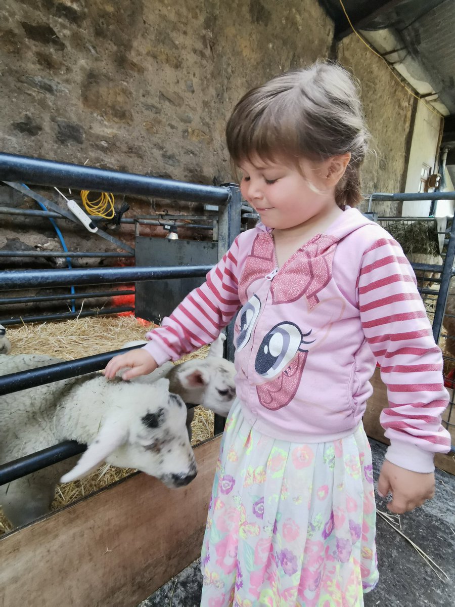 Graihagh Gwenllian had a wonderful day today at @FoelFarmPark