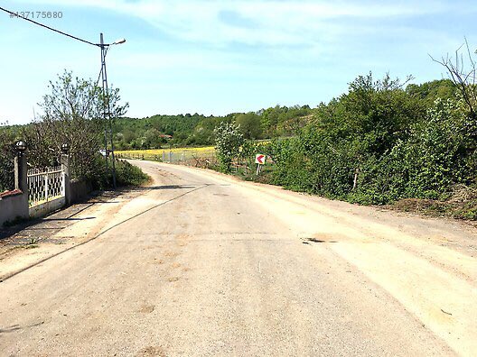 dervis ozsoy dervisozsoy twitter