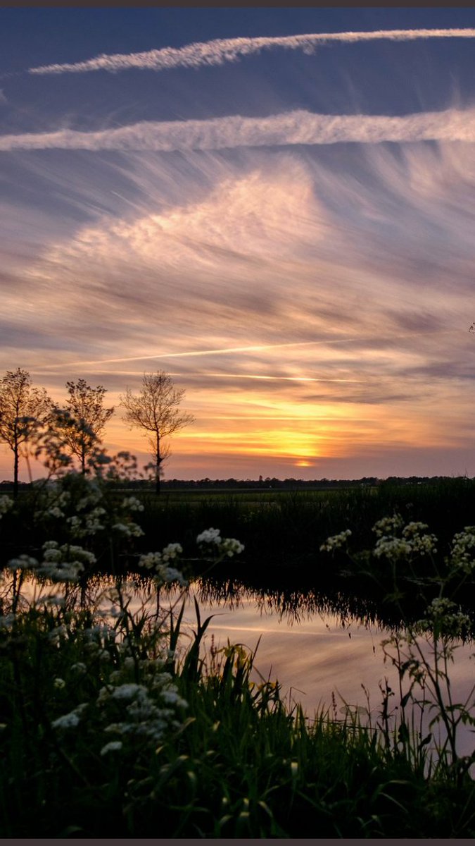 Benik_Weer's tweet photo. @weerphotography Een regelrechte #luchtramp veroorzaakt door de #Luchtvaart . En het enige kommentaar is, #sunset ? https://t.co/ttfp48F8H6