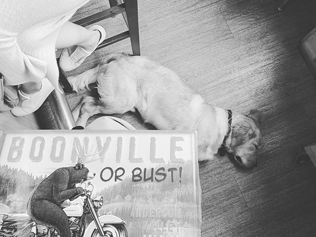 n_o_e's tweet photo. bière et jambon. Rainy #sundayfunday @andersonvalleybrewing https://t.co/nugfQfiDZl https://t.co/2AJxYhBjYd