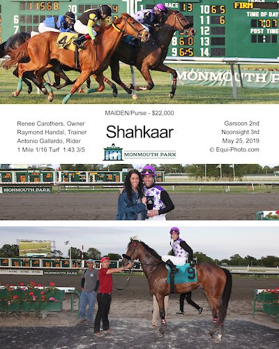 RenCarothers's tweet photo. Thank you, Shahkaar. You are, as your name is defined, a masterpiece. I thank God I got to enjoy this ride with you. “Momma” will still be keeping tabs, and can hardly wait to thank you in person Haskell week 💗🏇💗 #FancyEars #Shackleford https://t.co/nmUH8Otpmq