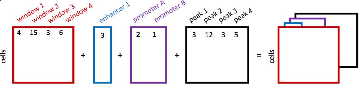 fabian_theis's tweet image. Want to leverage #scanpy&apos;s features for single-cell ATAC and DNA methylation? Finally, epiScanpy is out @biorxivpreprint - great collab led by Anna Danese from @colomemaria_epi lab. Please try&amp;amp;test at github.com/colomemaria/ep… and read at
biorxiv.org/content/10.110… @bio_annaD