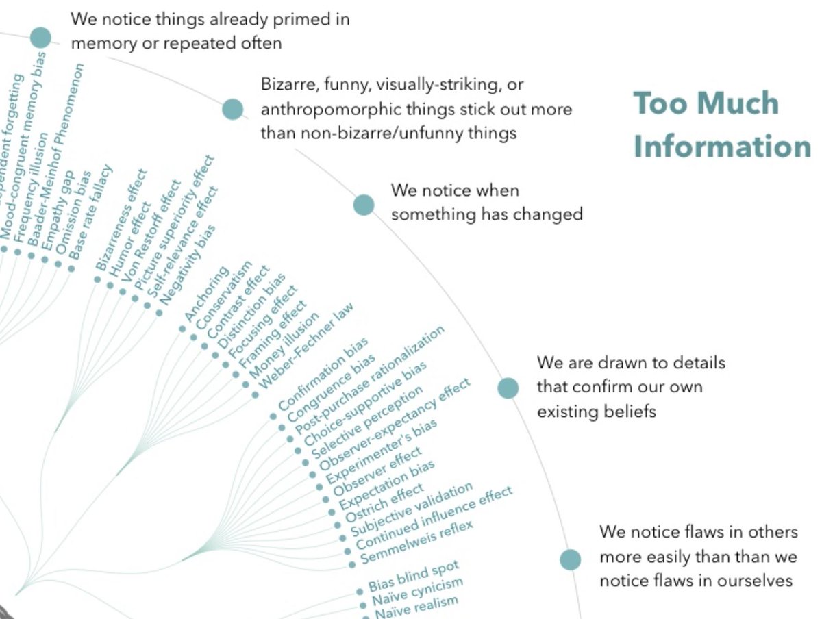 Cognitive Bias Chart