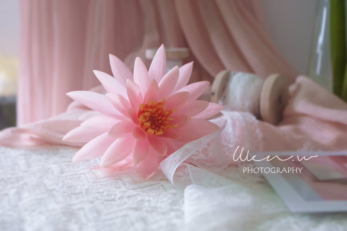 小仙女儿 🧚🏻‍♀️