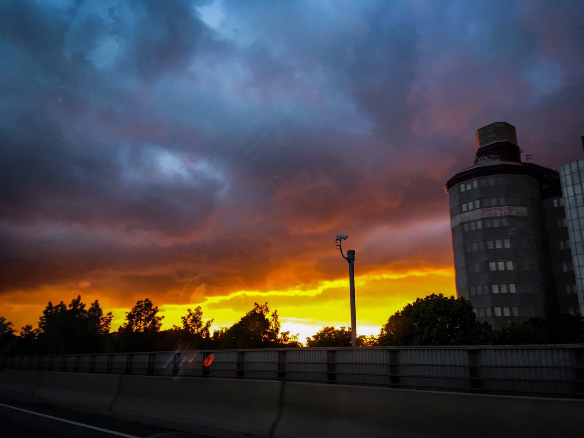 Will Thorp tweet media