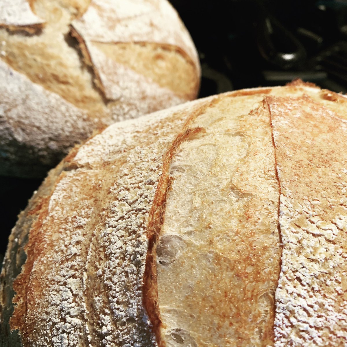 Baking bread with my starter. #sourdough #nativeyeast #naturalfermentation #baking #bread #hearthecrackle
