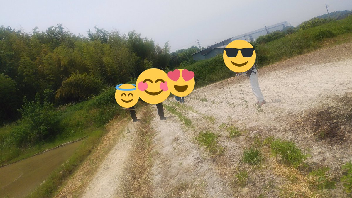 あるく 大府駅前 本日の農園での作業風景です 農園で夏野菜の苗に支柱を立てました 暑い中 みんなで水やりと支柱立て 草刈りを行いました 大府 就労移行 就労継続支援b型 農業 農福連携