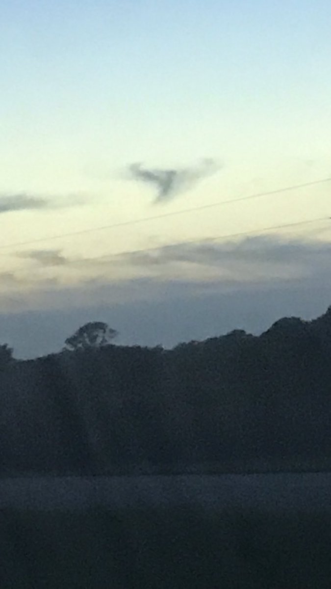 jimfoley01's tweet photo. @HoustonTexans A sign from god!? https://t.co/N0G6bE7rav