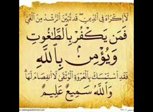 aboaabd357's tweet photo. إذا استطعت (طحن الماء)
فلن يستطيع المبعوث الأممي(حل قضايا المسلمين)

ومن يأمن الأمم المتحدة الملحدة على أرواح المسلمين
فكأنما يأتمن الدبابير على خلية النحل

النظام العالمي يسعى لأهداف 
تتحقق وتستمر في بلاد المسلمين
بموافقة بعض العرب

فكيف اصبح العدو صديق
ومن ينفذ خطط عدوه طوعا
. https://t.co/1s8rmAIyEZ