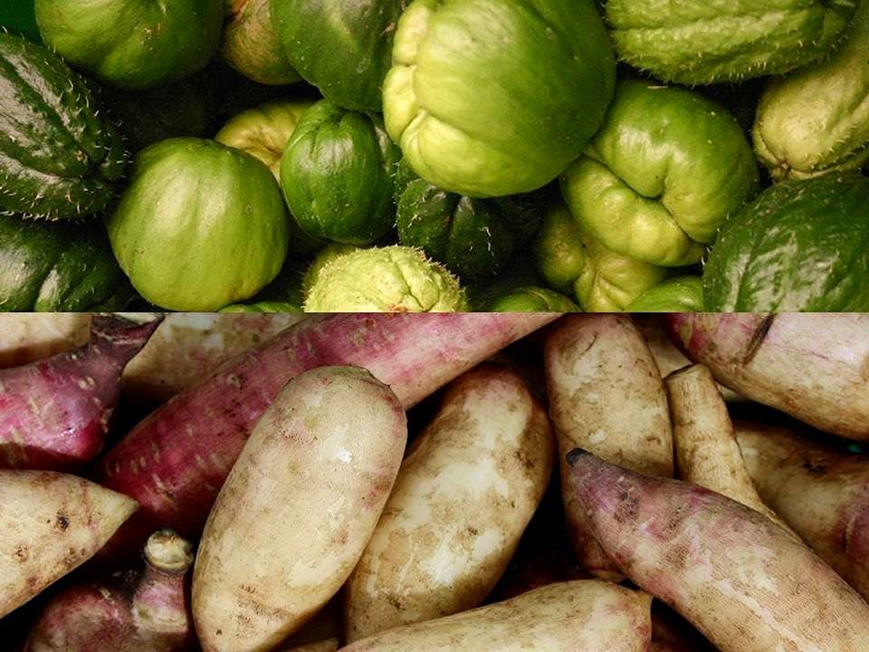 ¡Haz parte de nuestra Red!
Entregamos mercados agroecológicos a domicilio todos los miércoles en Bogotá, Chía y Cajicá.

El domingo cerramos solicitudes de Canastas.
la-canasta.org