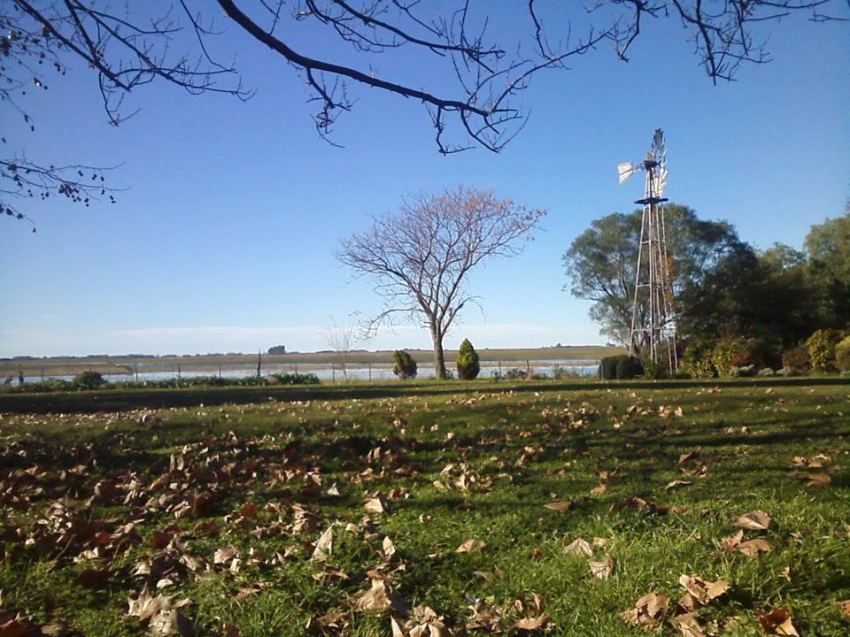 Crioshito's tweet photo. Mr Facebook me recuerda esta foto de hace 3 años atrás.
Mi llanura pampeana.... Campo bonaerense.
#ThePhotoHour #LlanuraPampeana #Rural #VisitArg #Otoño #NaturePhotography #Farm #Autumn #Sudamerica https://t.co/otYKmXqOmJ