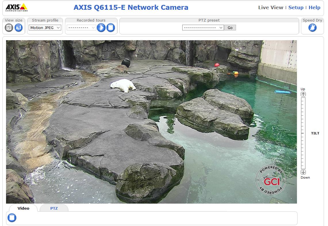 ipreferpi's tweet photo. POLAR BEAR CAM
https://t.co/3czHsnz9on
#shodansafari #zoo https://t.co/8kLG0cXxSU