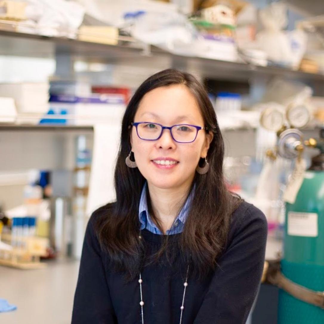 DiversifyChem's tweet photo. #365DiversifyChem #134 is Jin Montclare (@jkmontclare), a prof. at @nyutandon. Recently, her group wrote a review on protein‐engineered materials with an emphasis on hydrogels. https://t.co/crK2B7kxSP https://t.co/tZs25fmg7E
