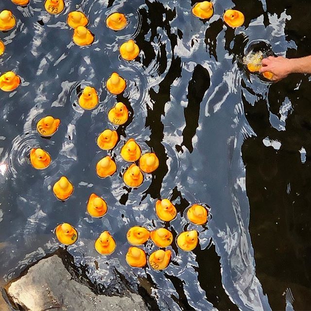 🐤🏊‍♂️🤞🏆🚫💔 bit.ly/2M8aNti