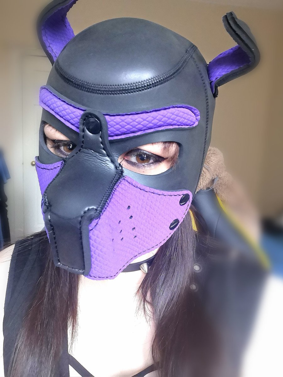luna_rabbit92's tweet photo. #humanpup #ladypup #newpup #puppyplay #girlpup #transpup #transgenderpuppy #mtfpup #petplay #collar #goodgirl #puppy #bdsm https://t.co/gMdAeJkxqS