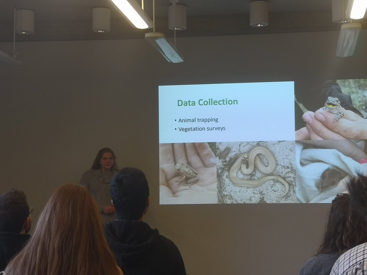 Hanbo_315's tweet photo. #unimelbscicomm @TallTayTales on how bushland fires can affect these cute little skinks' habitats. What do they really prefer? https://t.co/slfQTX8F3e