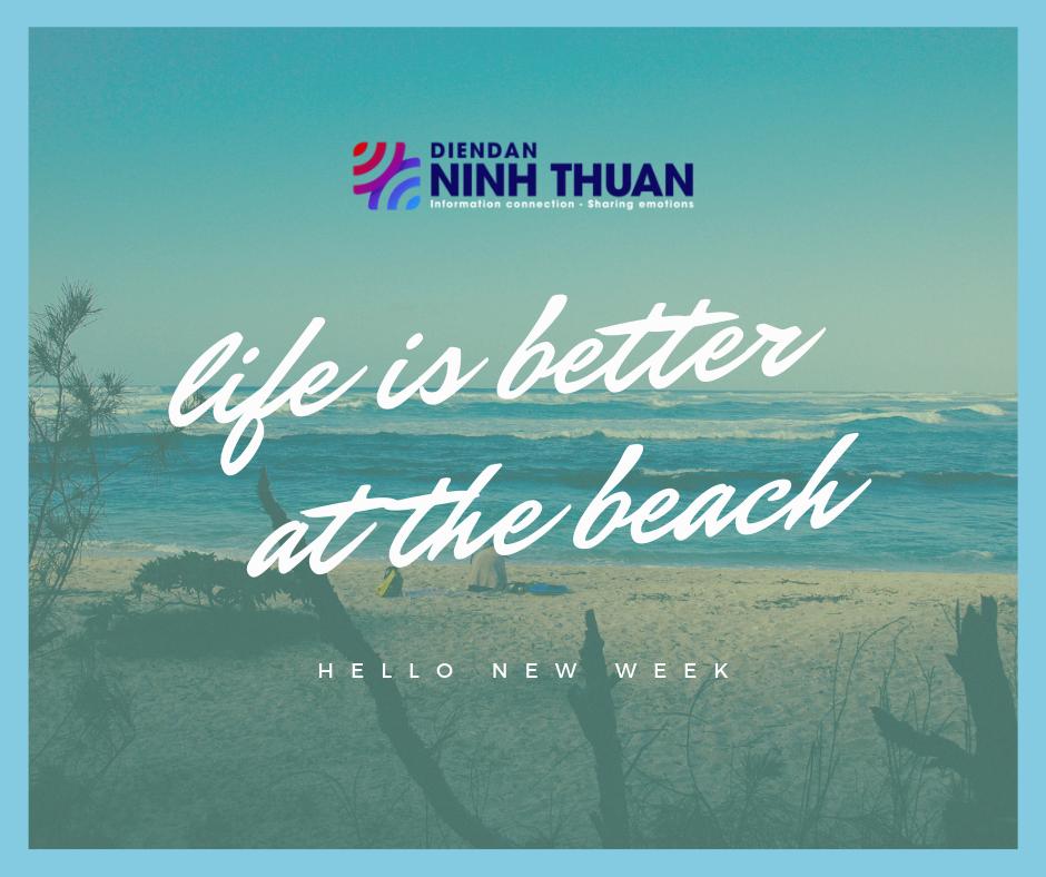 ninh_dien's tweet photo. 🌞🌞🌞 HELLO NEW WEEK 🌞🌞🌞

Chúc tất cả các Mem một tuần mới tràn đầy năng lượng và niềm vui nhé <3

Wishing everyone has plenty of energy and joy in the new week <3

#DienDanNinhThuan #NinhThuan #NewWeek #Tuanmoi #Energy #NangLuong #NiemVui #Joy #Fun https://t.co/wZd04OGXTc