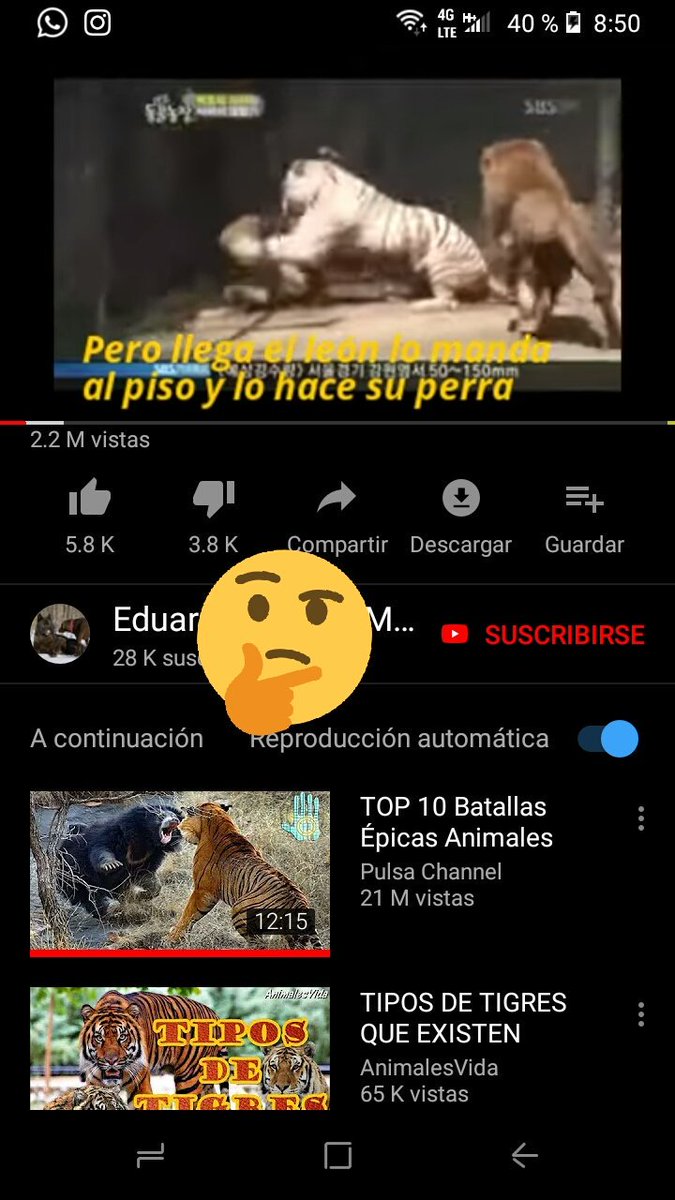 Ȼᵾɇɍvø tweet media