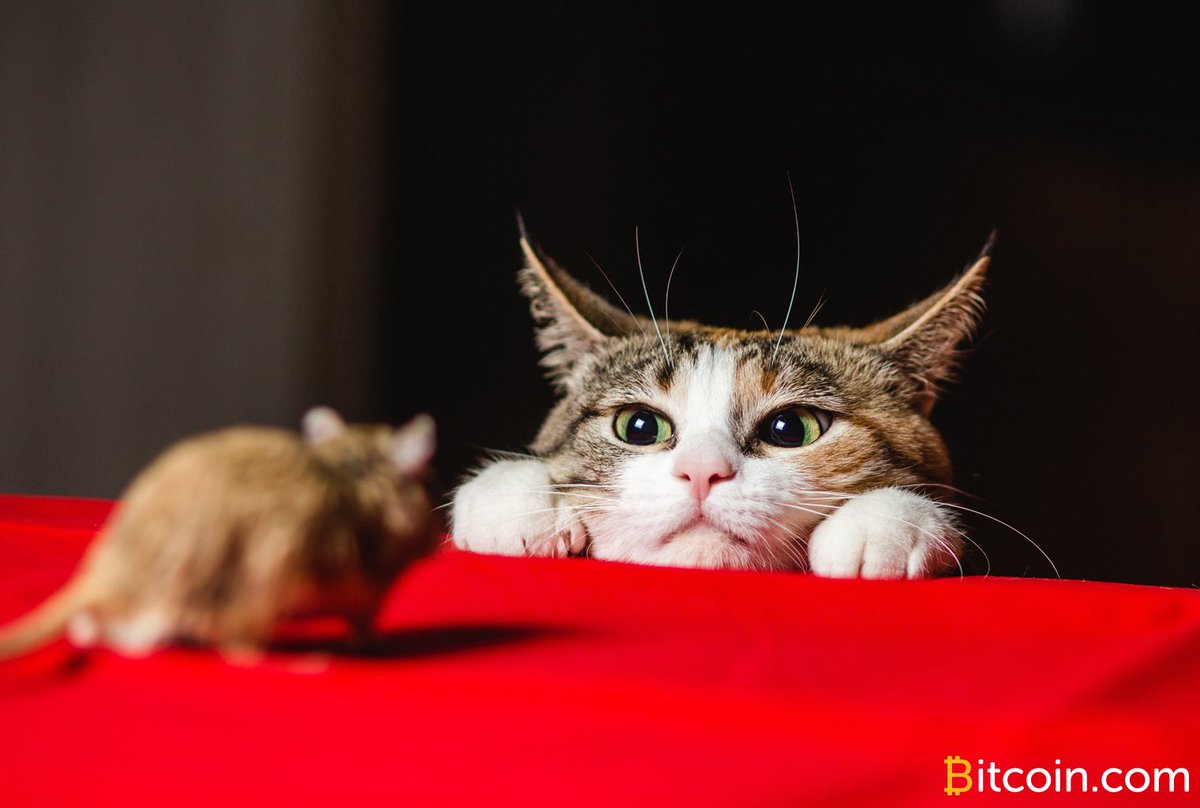 bitcoinagile's tweet photo. #bitcoin Cash Privacy Has Improved in Leaps and Bounds - Bitcoin News #Privacy #Acidsploit #BCH #BCHCommunity #bestmixer #bitcoincash #BlockchainAnalysis #CalinCulianu #Cashshuffle #CashshuffleJSlibrary #CryptocurrencyPrivacy #FIOD https://t.co/k8p5nDtKiG https://t.co/adKWTMLm4r