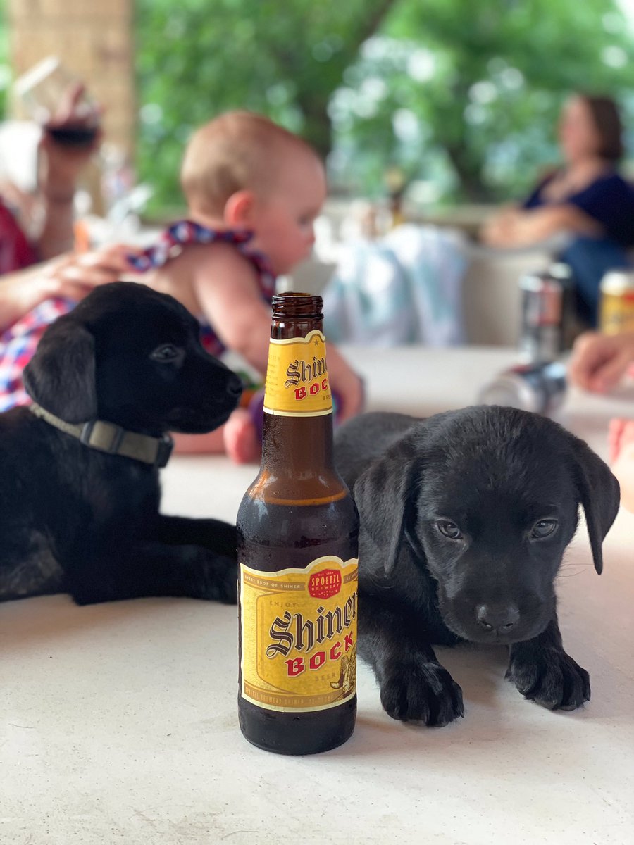 Celebrating with family &amp; <a href="/ShinerBeer/">Shiner Beer</a>.  Thankful for those who served and gave the ultimate sacrifice.