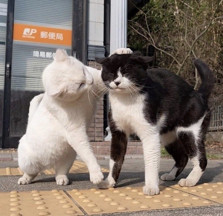 je t’aime เฌอ tweet media