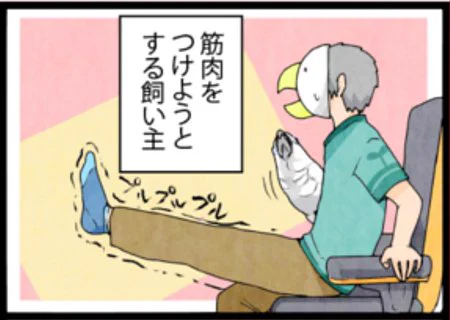 オウムと運動 